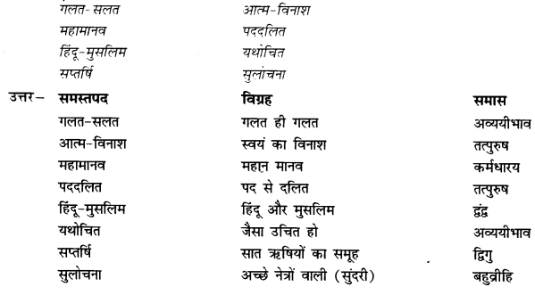 Ncert Class 10 Hindi Solutions Kshitij - Chapter 17 संस्कृति 2 NCERT Class 10 Hindi Solutions Kshitij - Chapter 17 1