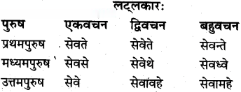 Class 10th Sanskrit व्याकरण धातु रूप-प्रकरण img 12