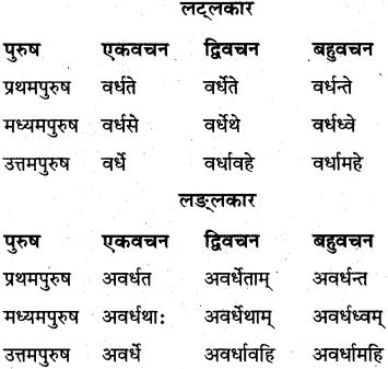 Class 10th Sanskrit व्याकरण धातु रूप-प्रकरण img 14