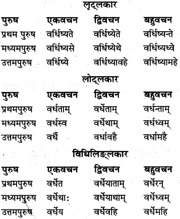 Class 10th Sanskrit व्याकरण धातु रूप-प्रकरण img 15