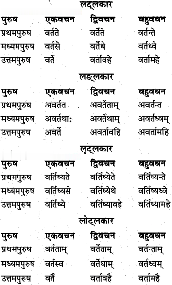 Class 10th Sanskrit व्याकरण धातु रूप-प्रकरण img 16