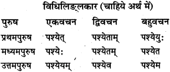 Class 10th Sanskrit व्याकरण धातु रूप-प्रकरण img 6